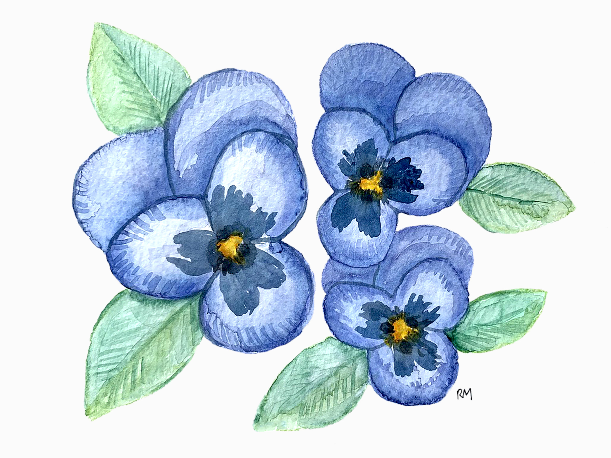 GroupofBluePansies